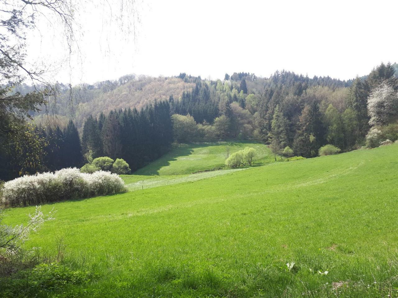 Herberg Die Alte Schleuse 曼德沙伊德 外观 照片